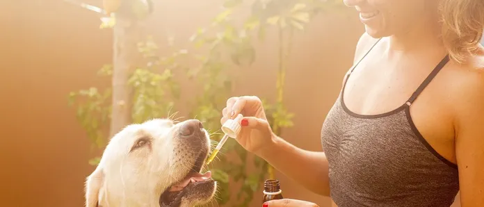 Eaze Offers Cannabis Products Delivery On The App Store