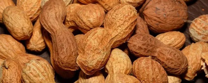 Peanuts Allergy