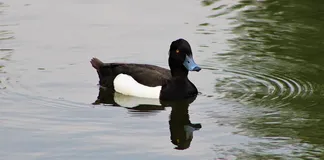 Swimmer enjoying the sun with protection from its rays