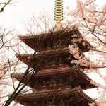Japan's