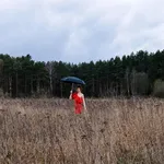 Tomorrow.io's weather forecast